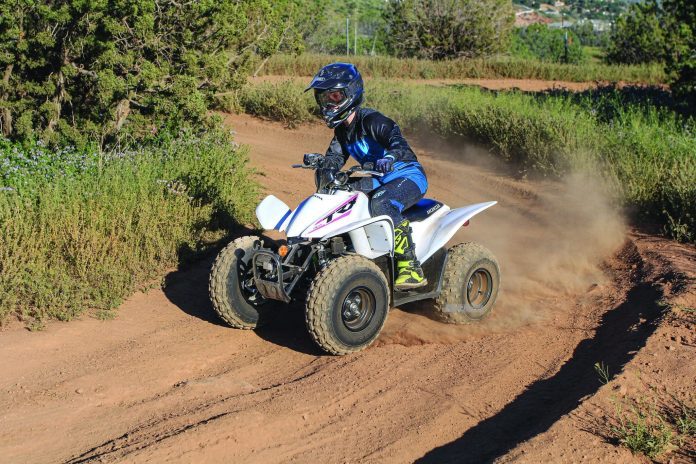 HONDA FOUR TRAX TRX90