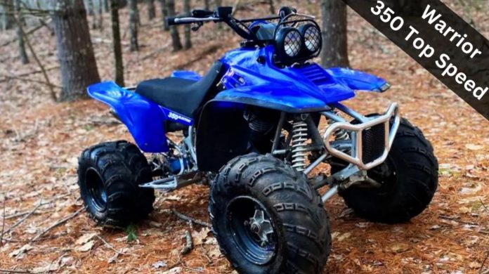 Yamaha YFM 350 X Warrior
