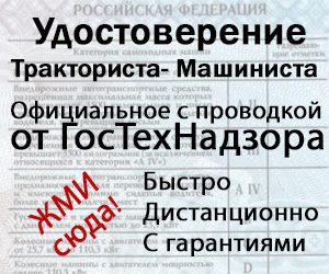 spot_img